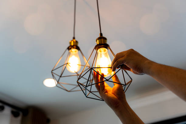 Best Ceiling Fan Installation Electrician  in Muskegon Heights, MI